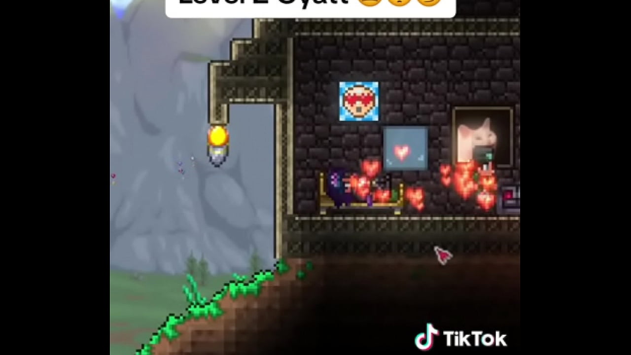 HOLY GYAT ITS TERRARIA WITH BIG BOOTY