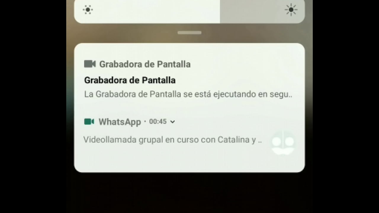 Videollamadardiente