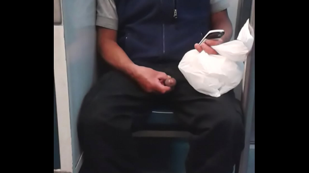 Wey jalandose el pito en el metro cd mexico