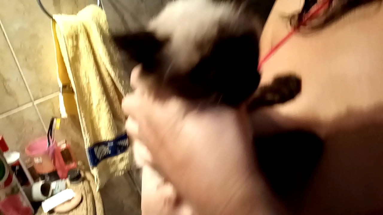 Sarah Rosa │ no Banho com Miguel ║ neste vídeo ela mostra como banhou seu gatinho Miguel