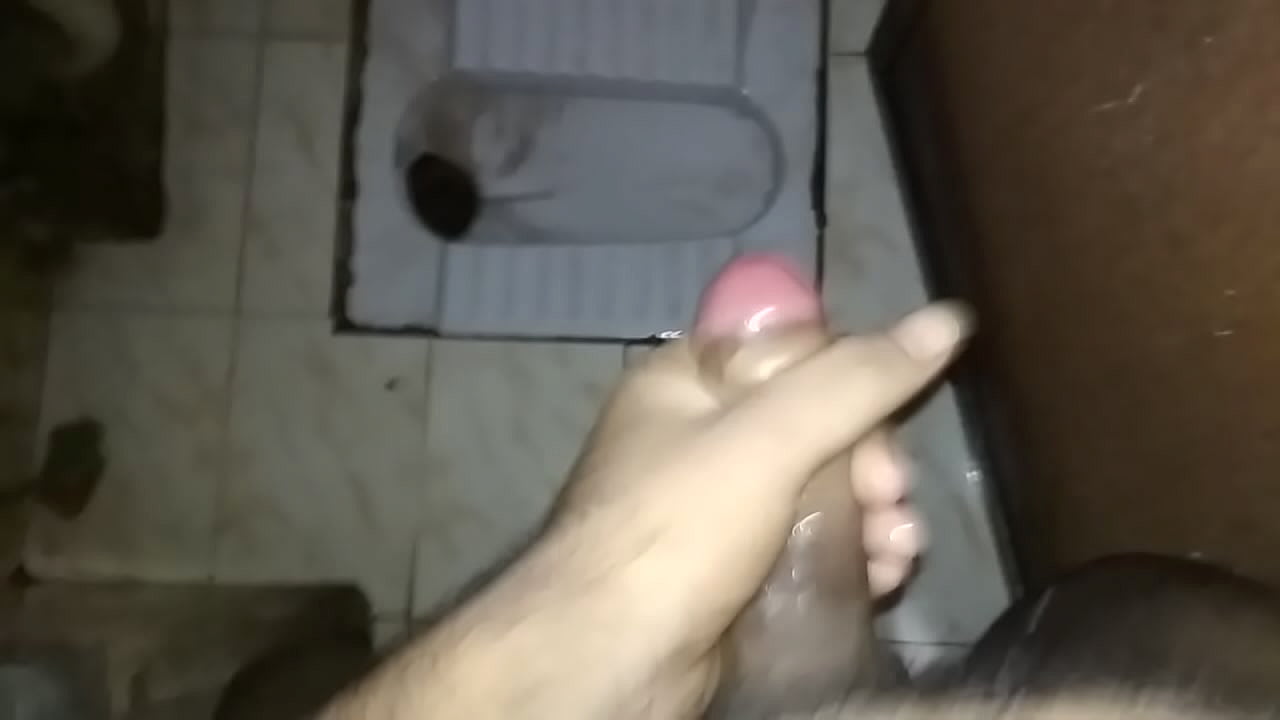 Penis cam