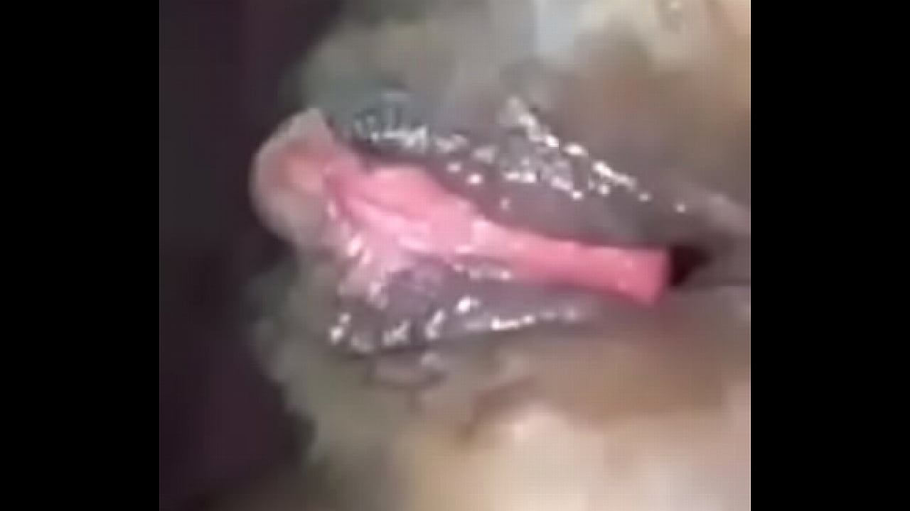 Wide opened pussy