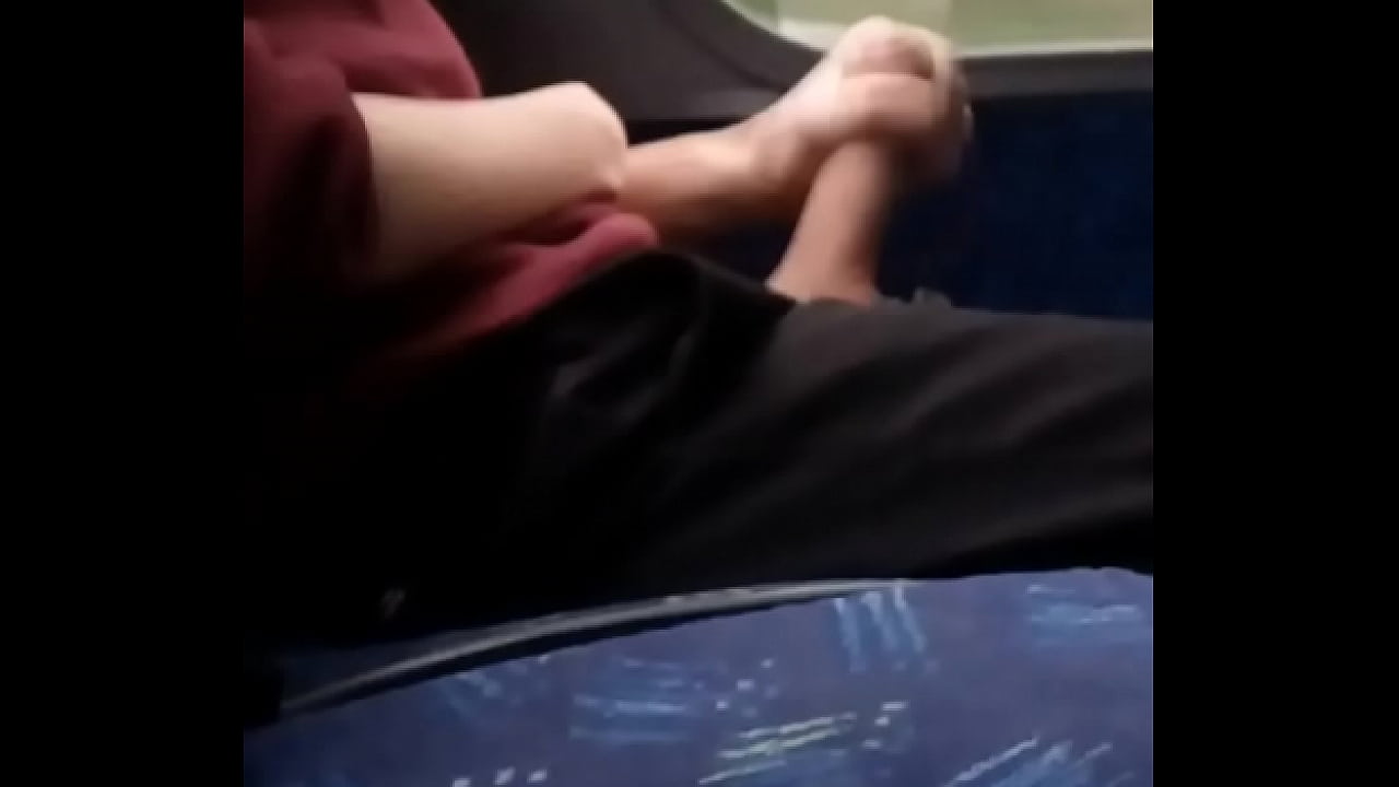 Young stud flashes cock on bus