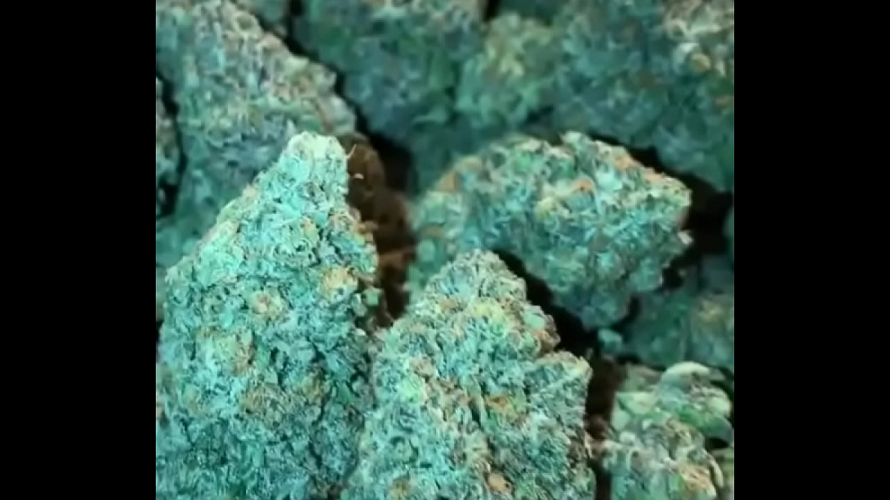Christmas Nuggets of inspiration, To Get you High and Horny.