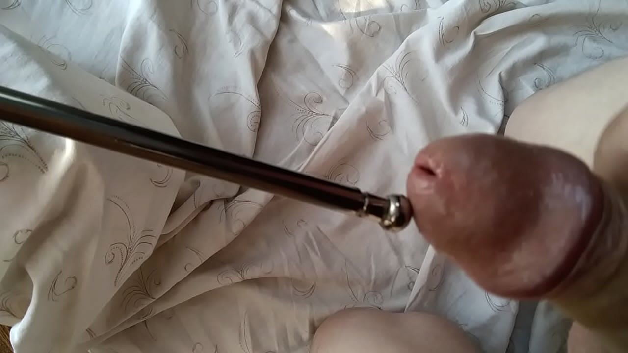 Penis plug urethral fuck