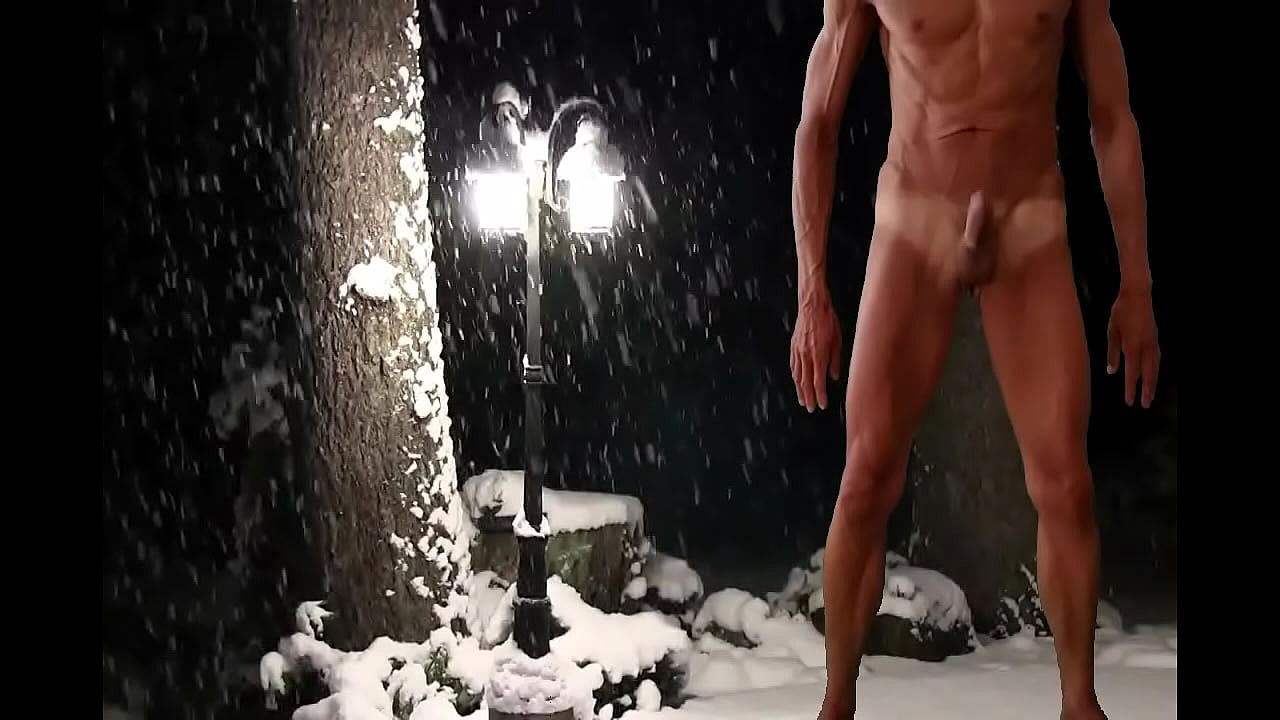 Snowy cock