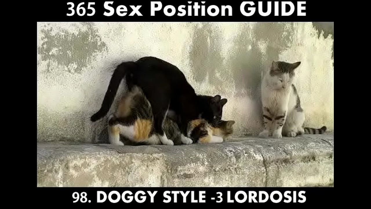 Best sex position for Pregnancy -Doggy style LORDOSIS (365 sex positions Hindi)
