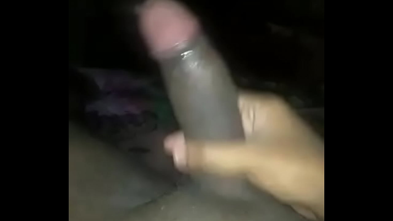 Indian Black cock