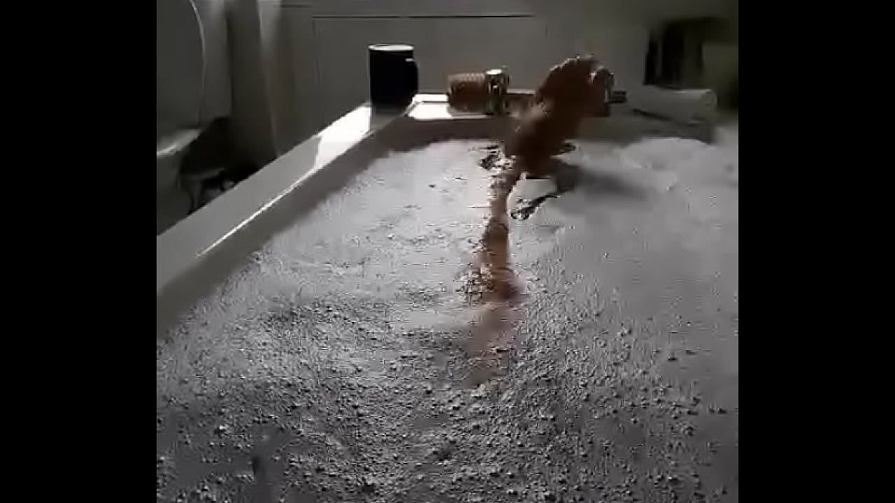 Bathtime Cock Bounce