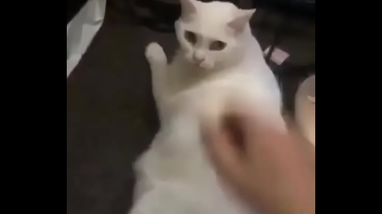 Man Giving Slaps On White Pussy