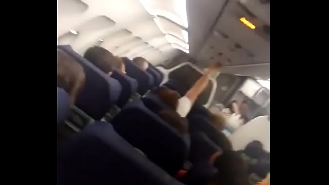 Paja en el Avion