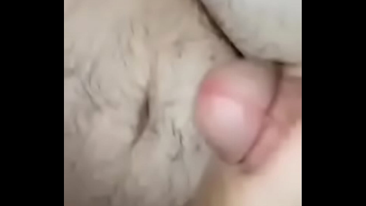 Puppy takes it just right