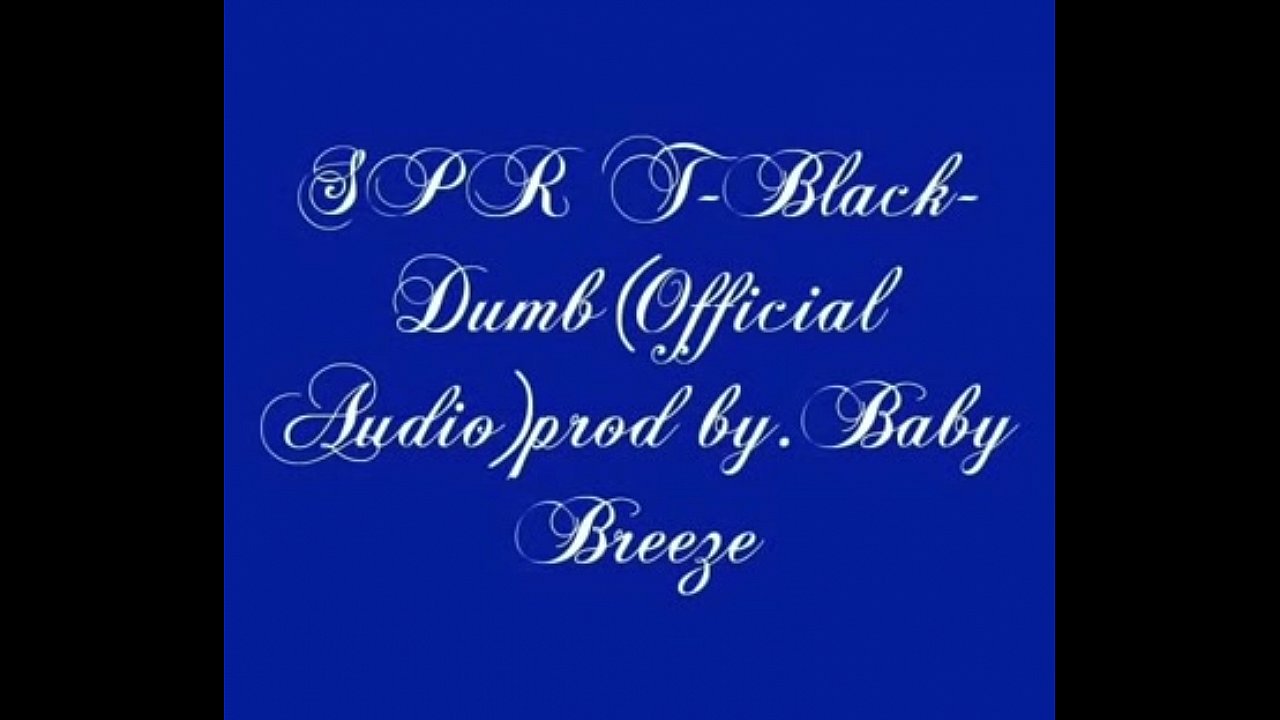 SPR T-Black - Dumb (Official Audio)prod.by b. Breeze