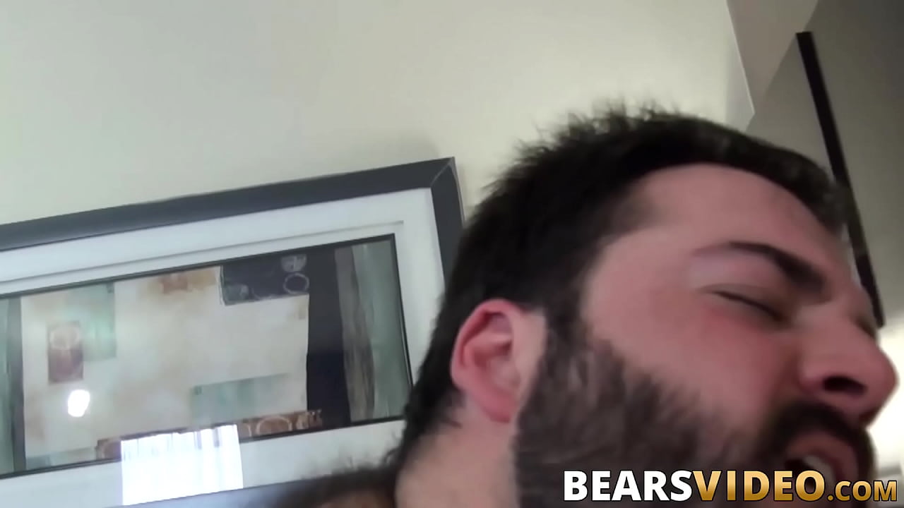 Tattooed bears pounding after blowjob