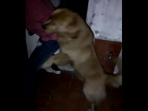 Video de Chicho con Abogado perrador nivel dios