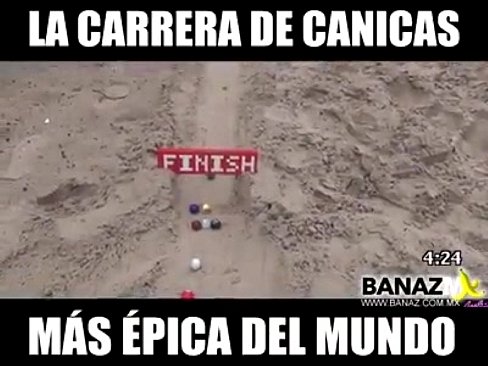 carrera de bola