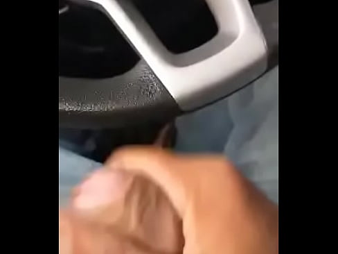 Paja en el auto