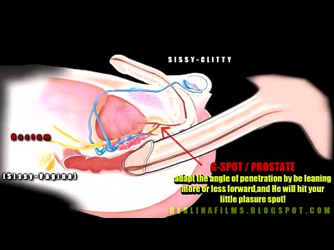 Shemale Aanatomy(Some kind of sissy-trainer)