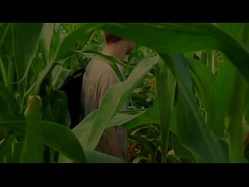 Sweet boy gives blowjob in cornfield to his friend