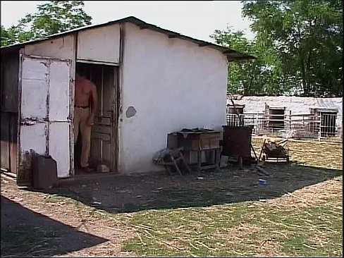 Schweinerei auf dem Bauernhof