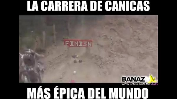 carrera de bola