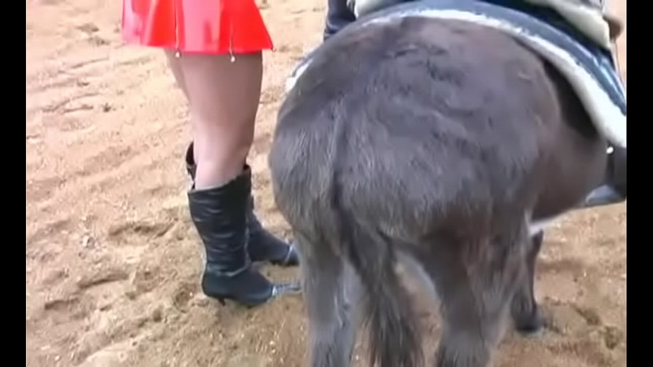 Latex bitch riding donkey