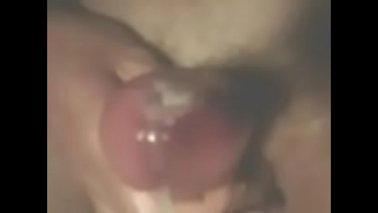 Andreaanals2 cumshot gozada amador