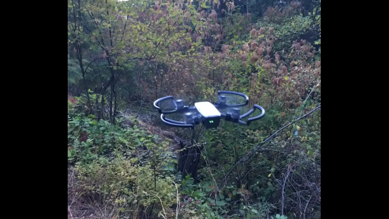 Drone on Lummi Island