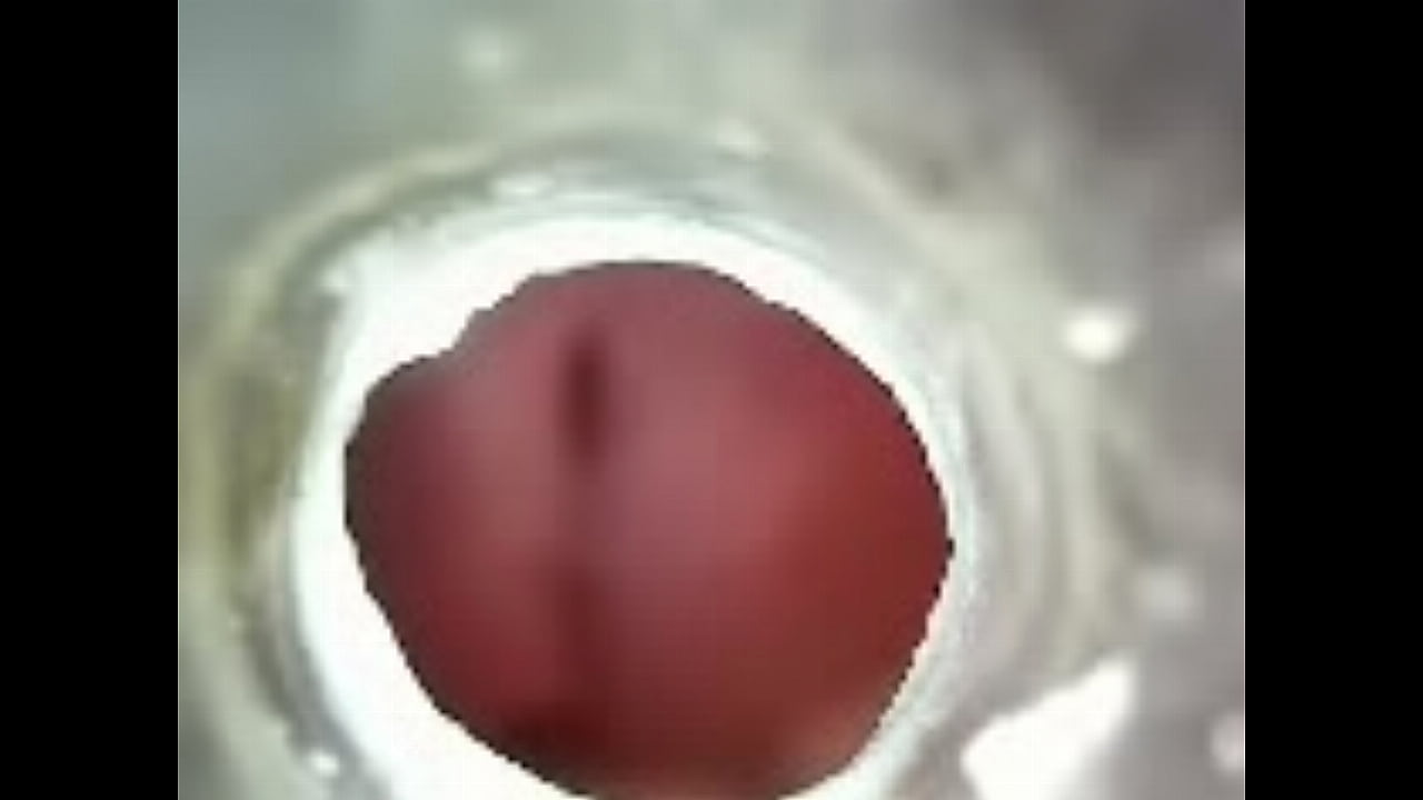 Inside my piss hole