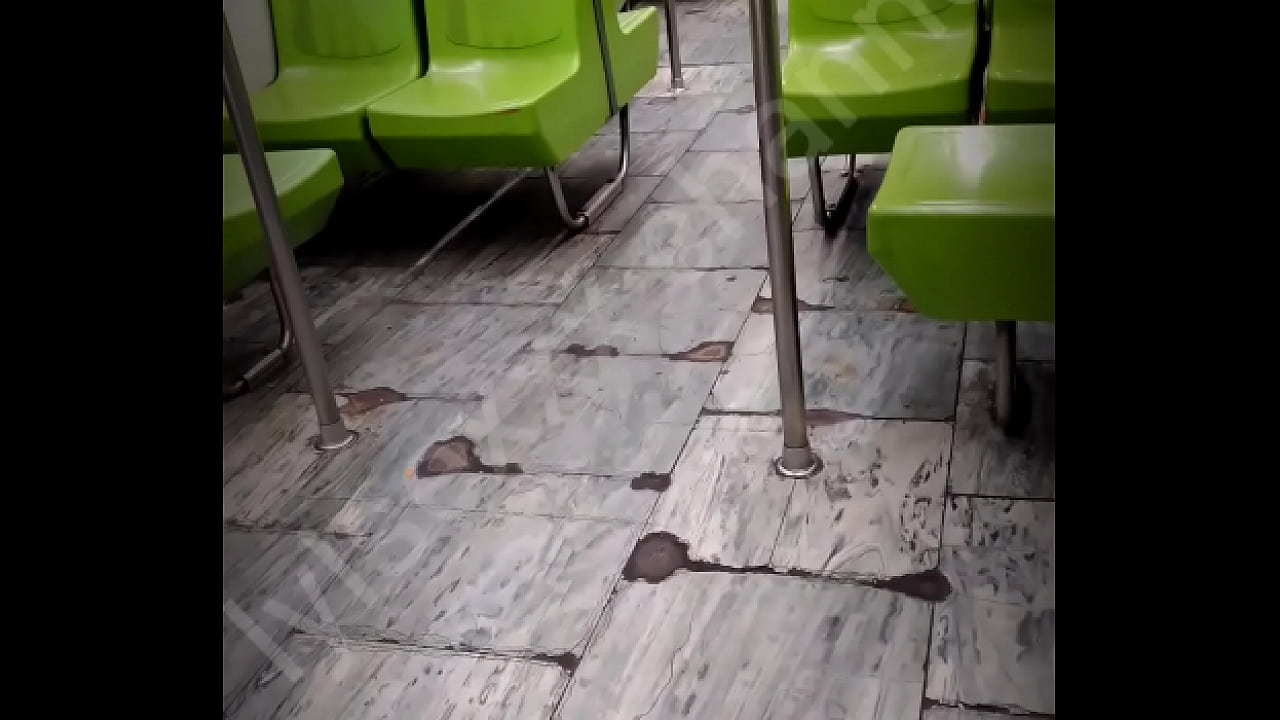 Zorrita muy rica es follada en el metro de cdmx