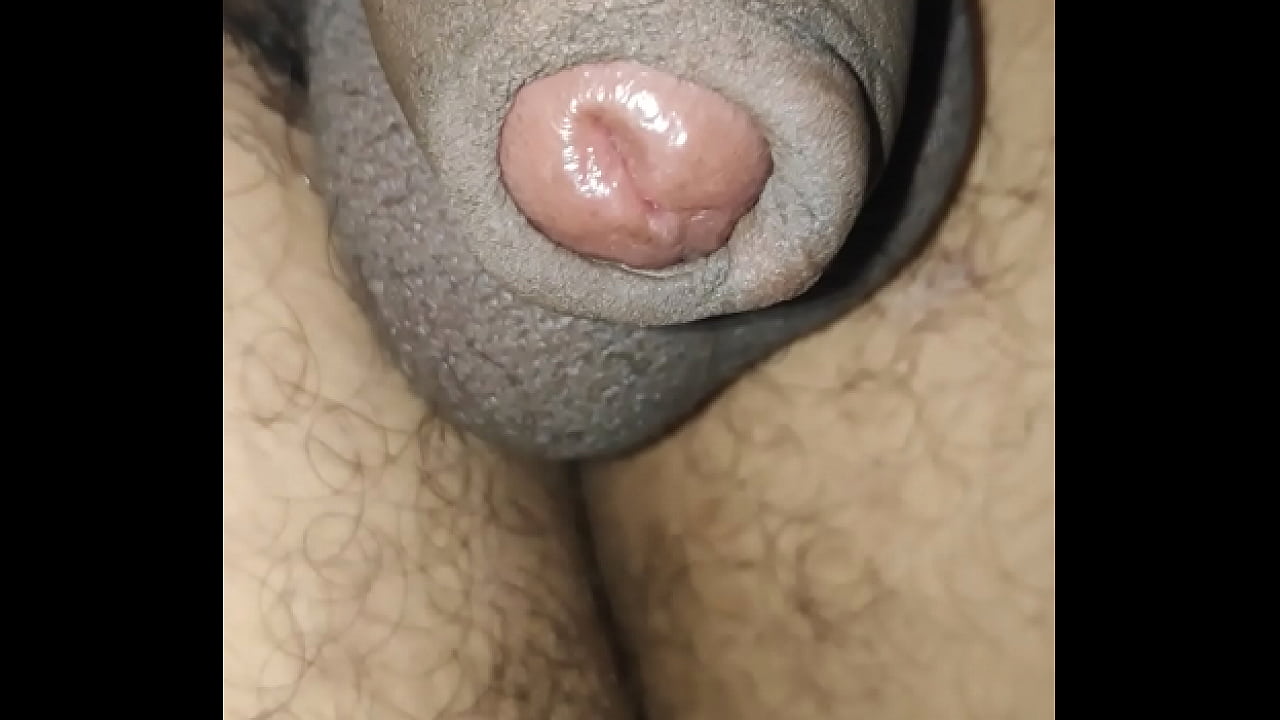 ant sting on my penis and swallow my  penis |indian penis