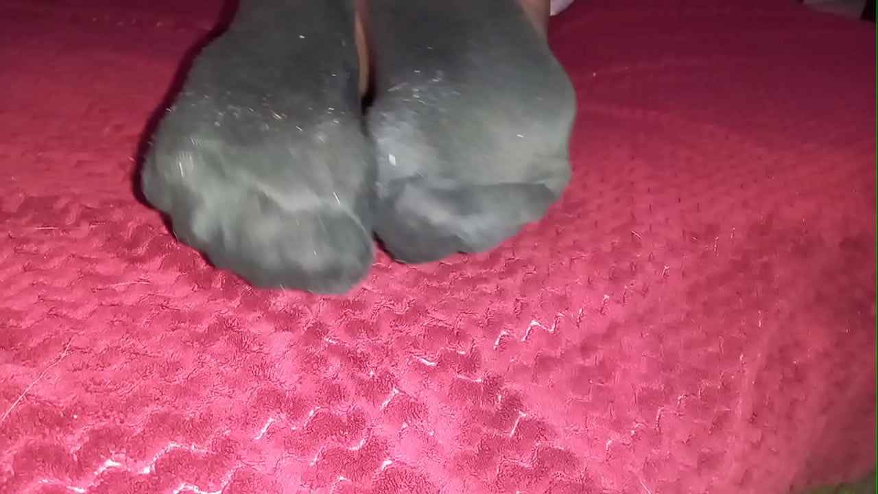 Dirty socks