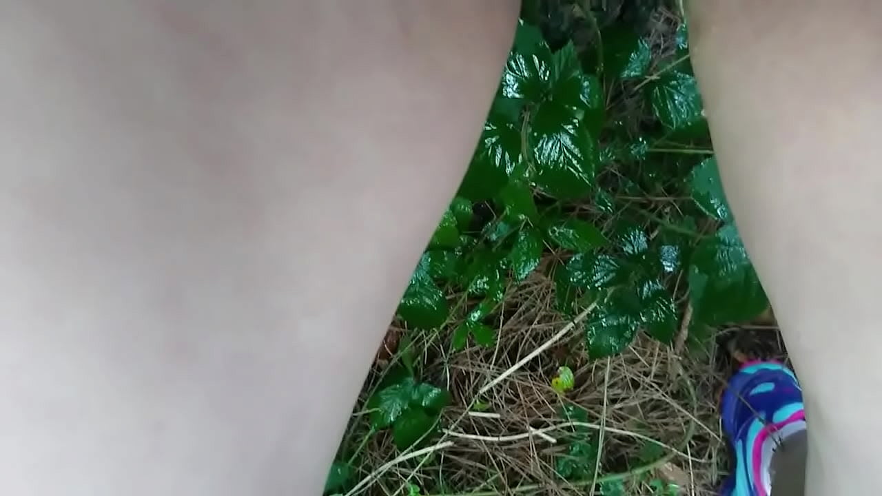 PISSING IN THE WOODS