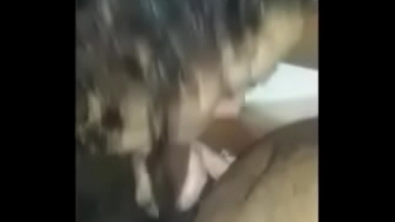 Sucking a cock till cum