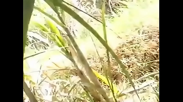 south uncle aunty sex