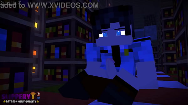 Minecraft同人动画图书馆的幽灵中文字幕  