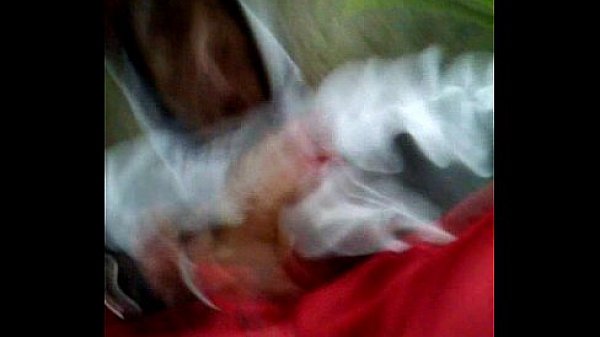 Chupando o boy no mato