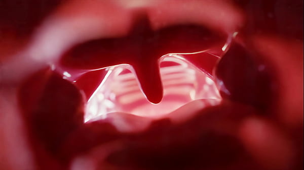 vore pov swallowed alive