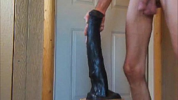 Wild Anal and a Draft Cock Fuck  