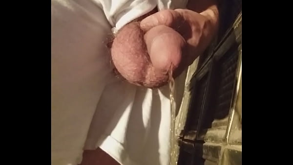 cock , dick , soloboy , gay