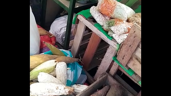 Una mil de jugosas tetas para cachetear