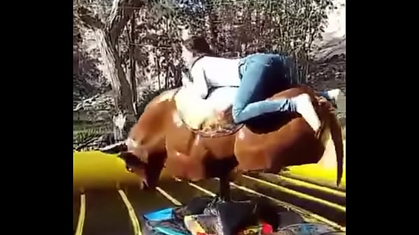 Flor encima del toro