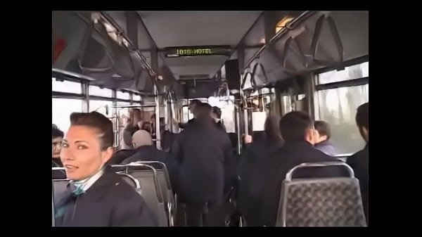 1240317 french cabin crew