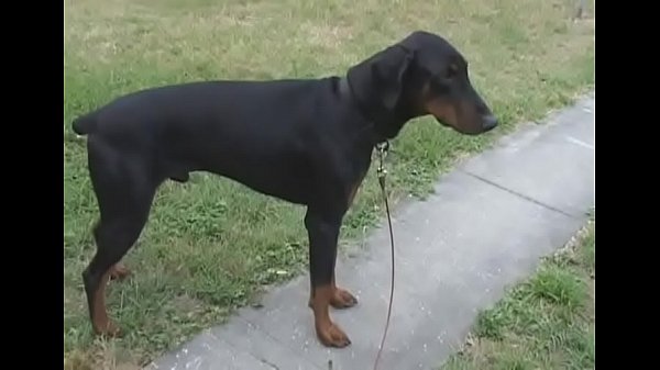 Hot bj with the beauty next door