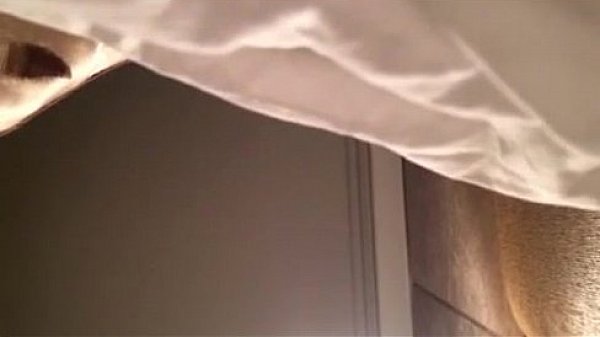 潮州-迈娜迈娜门