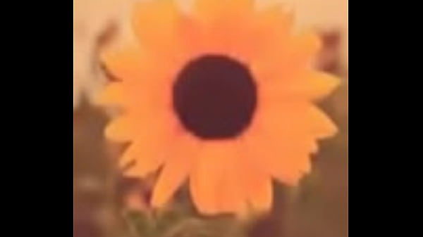 perrita cantando semi desnuda