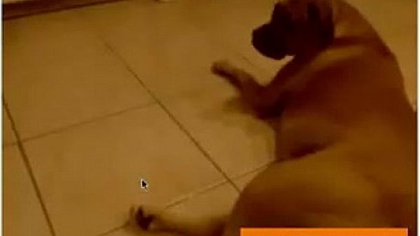 free webcam chat-Webcam Masturbation Free Amateur Porn Video dc