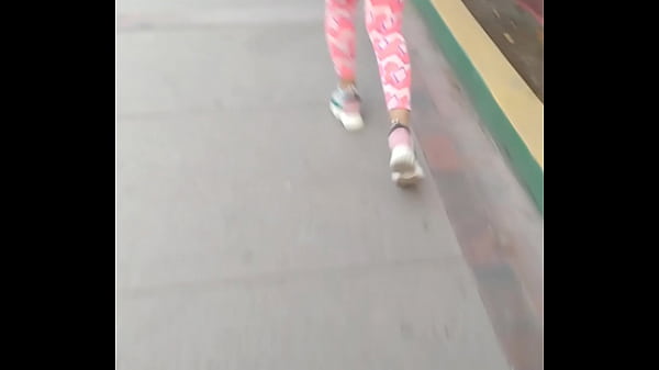 Lo que me encontre en la calle