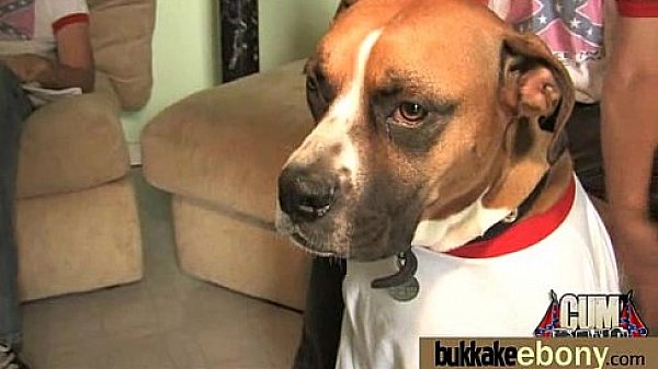 Gorgeous ebony lady sucks white dicks and gangbang fucking 19