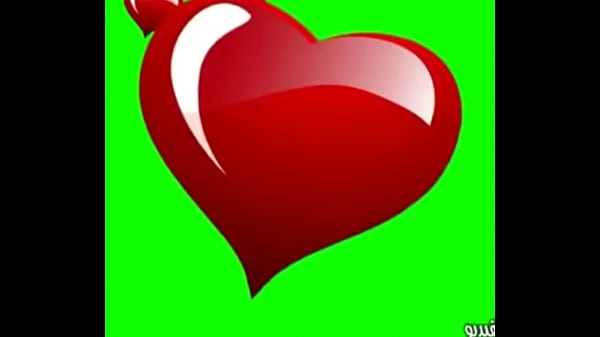 فيديو التحقق